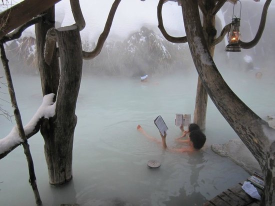 ♨️ 뉴토온천향 츠루노유 온천 (뉴토온센쿄 츠루노유 온센)